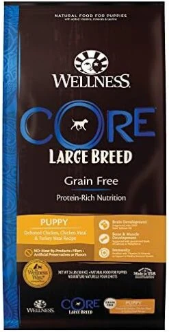 Wellness CORE Grain-Free High-Protein Large Breed Adult Dry Dog Food, Made In USA With Real Chicken & Natural Ingredients, With Glucosamine & Chondroitin To Support Joint Health (26-Pound Bag) -Dog Supply Store 41xxxCYQtoL. AC