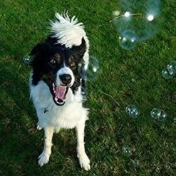 Roasted Chicken And Peanut Butter Scented Bubbles - 2 Pack - 8 Oz Each - 100% Non Toxic And Tear Free -Dog Supply Store 41yVRqQ1hxS