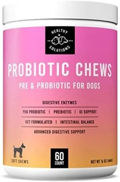 Probiotics For Dogs - Dog Probiotic And Digestive Enzymes - 120 Soft Chews For Digestion Support - Vet Strength Pet Supplement - Made In USA 12 Probiotics For Dogs - Dog Probiotic And Digestive Enzymes - 120 Soft Chews For Digestion Support - Vet Strength Pet Supplement - Made In USA -Dog Supply Store 41yfe59PW3L. AC