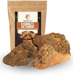 Wildfang® | Chewing Root Made From Tree Heather For Dogs, Dental Care & Masticatory Muscle Training, Natural Chew Toy…… 28 Wildfang® | Chewing Root Made From Tree Heather For Dogs, Dental Care & Masticatory Muscle Training, Natural Chew Toy…… -Dog Supply Store 41ztuXRBASL. AC