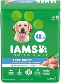IAMS Adult High Protein Large Breed Dry Dog Food With Real Chicken, 30 Lb. Bag -Dog Supply Store 51 5XDLesFL. AC