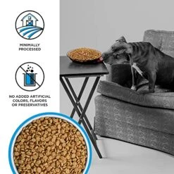 BIXBI Liberty Grain Free Dry Dog Food, Fisherman's Catch, 4 Lbs - Fresh Fish, No Fish Meal - Gently Steamed & Cooked - No Soy, Corn, Rice Or Wheat For Easy Digestion - USA Made -Dog Supply Store 510jdSAgR1L