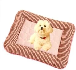 Summer Dog Bed Breathable Pet Nest Dogs Cat Cold Sense Nest Kennel Durable Sofa Sleep Cushion Car Nest 21 Summer Dog Bed Breathable Pet Nest Dogs Cat Cold Sense Nest Kennel Durable Sofa Sleep Cushion Car Nest -Dog Supply Store 510kcJiqL. AC