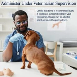 Rx Vitamins For Pets - Phos-Bind 35 Gm Powder 10 Rx Vitamins For Pets - Phos-Bind 35 Gm Powder -Dog Supply Store 510v4fYQd1L