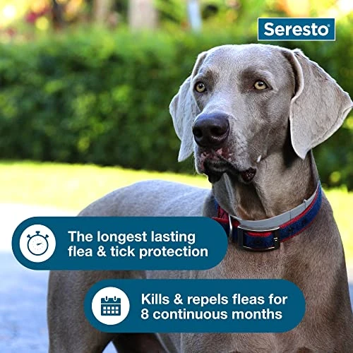 Seresto Large Dog Vet-Recommended Flea & Tick Treatment & Prevention Collar For Dogs Over 18 Lbs. | 8 Months Protection 7 Seresto Large Dog Vet-Recommended Flea & Tick Treatment & Prevention Collar For Dogs Over 18 Lbs. | 8 Months Protection - Image 5