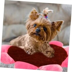 CRILSTYLEO Pet Mat Small Pet Bed Plush Cat Mat Kitten Mat Pad Washable Dog Beds Cat Mat For Food Thick Mattress Topper Full Pet Nest Cushion Dog Sleeping Cushion Household Pet Bed Brown Puppy -Dog Supply Store 5127eyzZQBL