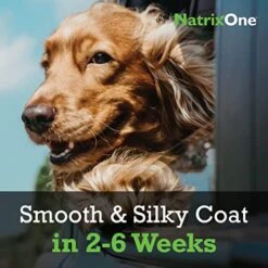 Camelina Oil For Dogs, Dog Skin And Coat Supplement All-Natural Supplements, Support Hearts, Joints, Coats, Skin And Anti-inflammatory Systems, Protective & Maintenance Care, 8 Oz -Dog Supply Store 513N3yIcB9L