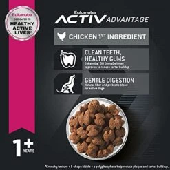 Eukanuba Adult Medium Breed Dry Dog Food, 30 Lb -Dog Supply Store 513dBbsZucS