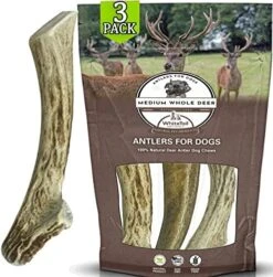 WhiteTail Naturals | 3 Pack Medium | Deer Antler Dog Chews | All Natural Organic Antlers For Dogs | Long Lasting Antler Bones For Dogs | Durable Antler Dog Toy -Dog Supply Store 5149e tQTuL. AC