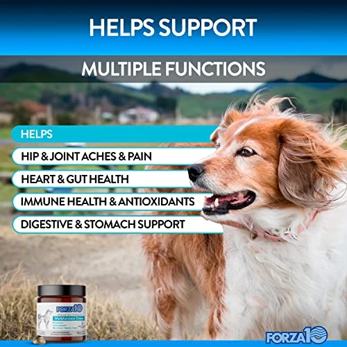Forza10 Dog Vitamins Supplements, Dog Multivitamin Chews, Pet Vitamins For Dogs, Peanut Butter Flavor Dog Supplement, Multivitamin For Dogs, Senior Dog & Puppy Vitamins, Small To Large Breeds, 90 Ct. 4 Forza10 Dog Vitamins Supplements, Dog Multivitamin Chews, Pet Vitamins For Dogs, Peanut Butter Flavor Dog Supplement, Multivitamin For Dogs, Senior Dog & Puppy Vitamins, Small To Large Breeds, 90 Ct. - Image 2