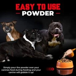Bully Muscle Builder | | 283gm Dog Protein Powder | 30 Day Supply Of Weight Gainer For Your Bully, Pitbull, Frenchies, Or More, 60 Servings -Dog Supply Store 514V4Ch5KjL