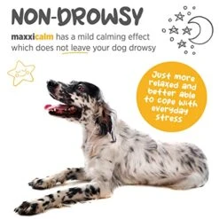 Maxxipaws Maxxicalm Natural Non-Drowsy Calming Aid Supplement For Dogs With Behavioral Training Guide - 120 Tasty Tablets 11 Maxxipaws Maxxicalm Natural Non-Drowsy Calming Aid Supplement For Dogs With Behavioral Training Guide - 120 Tasty Tablets -Dog Supply Store 514i5j4g2tL
