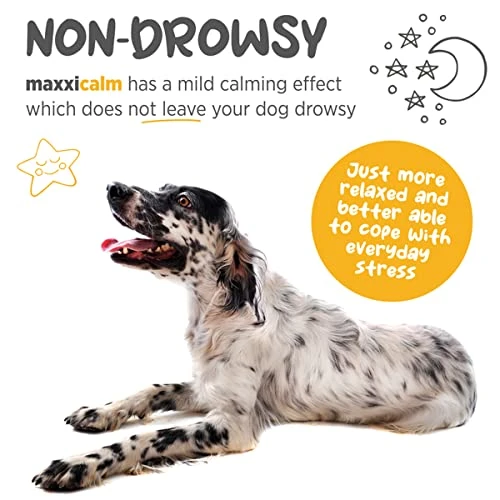 Maxxipaws Maxxicalm Natural Non-Drowsy Calming Aid Supplement For Dogs With Behavioral Training Guide - 120 Tasty Tablets 6 Maxxipaws Maxxicalm Natural Non-Drowsy Calming Aid Supplement For Dogs With Behavioral Training Guide - 120 Tasty Tablets - Image 4