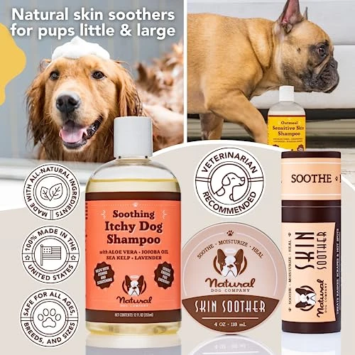 Natural Dog Company Itchy Dog Shampoo, 12 Oz., Dog Dry Skin Treatment, Dog Itch Relief, Hypoallergenic, Plant Based Ingredients, Deodorizing Dog Shampoo, Relief From Skin Allergy Symptoms 8 Natural Dog Company Itchy Dog Shampoo, 12 Oz., Dog Dry Skin Treatment, Dog Itch Relief, Hypoallergenic, Plant Based Ingredients, Deodorizing Dog Shampoo, Relief From Skin Allergy Symptoms - Image 6