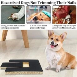 PINVNBY Dog Scratch Pad For Nails, Dog Scratch Pad, Stress Free Dog Nail Scratch Board Fear Free Nail Care Alternative To Dog Nail Clippers Cat Nail File For Dogs Of All Sizes -Dog Supply Store 514kwHEK96L