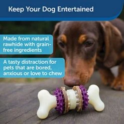 PetSafe Treat Rings - 16 Rings - Size B - Original & Busy Buddy Bristle Bone - Treat-Holding Toy For Dogs - Purple, Large -Dog Supply Store 515jGR4ojiL