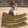WhiteTail Naturals | 3 Pack Medium | Deer Antler Dog Chews | All Natural Organic Antlers For Dogs | Long Lasting Antler Bones For Dogs | Durable Antler Dog Toy 1 WhiteTail Naturals | 3 Pack Medium | Deer Antler Dog Chews | All Natural Organic Antlers For Dogs | Long Lasting Antler Bones For Dogs | Durable Antler Dog Toy -Dog Supply Store 515qGwUH1HL