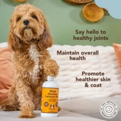 Natural Dog Company Wild Alaskan Salmon Oil For Dogs (16oz) Skin & Coat Supplement For Dogs, Dog Oil For Food With Essential Fatty Acids, Fish Oil Pump For Dogs, Salmon Oil For Puppies, Omega 3 Fish Oil For Dogs, Wild Fish Oil -Dog Supply Store 515vJCDZhUL
