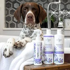 Isle Of Dogs Keratin Volume Sulfate Free Shampoo, 16 Ounce, Multicolor, 820-16 -Dog Supply Store 5163wXkyDML