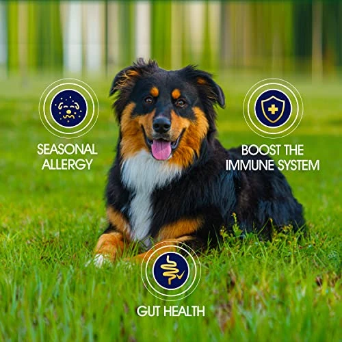 Yuma Natural Flea And Tick Chews For Dogs- Coriander, Neem. Flax Seed And Vitamins Complex For Flea And Tick Prevention For Dogs 5 Yuma Natural Flea And Tick Chews For Dogs- Coriander, Neem. Flax Seed And Vitamins Complex For Flea And Tick Prevention For Dogs - Image 3