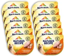 Nature's Recipe Wet Dog Food, Variety Pack, 2.75 Ounce Cup (Pack Of 24) -Dog Supply Store 5170ryIKBxL. AC