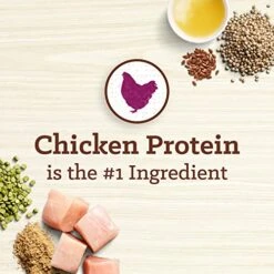 Nutro MAX Adult Recipe Dry Dog Food With Farm Raised Chicken, 12 LB Bag 13 Nutro MAX Adult Recipe Dry Dog Food With Farm Raised Chicken, 12 LB Bag -Dog Supply Store 5171oxHShkL