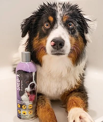 Shed-X Shed Control Shampoo For Dogs, 16 Oz – Reduce Shedding – Shampoo Infuses Skin And Coat With Vitamins And Antioxidants To Clean, Release Excess Hair, And Exfoliate 6 Shed-X Shed Control Shampoo For Dogs, 16 Oz – Reduce Shedding – Shampoo Infuses Skin And Coat With Vitamins And Antioxidants To Clean, Release Excess Hair, And Exfoliate - Image 4
