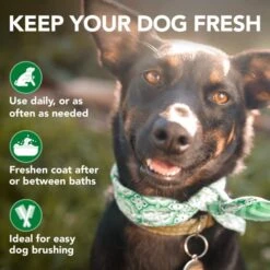 Vet's Best Moisture Mist Dog Dry Skin Conditioner| Dog Conditioner And Detangler Spray | Relieves Itchy Skin, Refreshes & Soothes | 16 Oz -Dog Supply Store 5180LMcFMHL