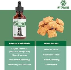Natural Antibiotics For Dogs | Dog Antibiotics | Supports Dog Allergy Relief | Dog Itch Relief | Dog Allergy Support | Dog Multivitamin | Pet Antibiotics | Dog Antibiotic | 1 Pack: Bacon Flavor 8 Natural Antibiotics For Dogs | Dog Antibiotics | Supports Dog Allergy Relief | Dog Itch Relief | Dog Allergy Support | Dog Multivitamin | Pet Antibiotics | Dog Antibiotic | 1 Pack: Bacon Flavor -Dog Supply Store 518DsMETp0L