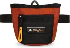 OllyDog Goodie Treat Bag, Dog Treat Pouch, Waist Belt Clip For Hands-Free Training, Magnetic Closure, Dog Training And Behavior Aids, Three Ways To Wear (Cactus) -Dog Supply Store 5192MBjXRHL. AC