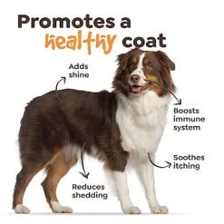 𝐓𝐎𝐏 𝟐𝟎𝟐𝟑* Omega 3 For Dogs - Salmon Oil For Dogs Skin And Coat With Omega 3 Fish Oil, Dog Fish Oil Supplement For Allergy Relief And Itch Relief, 90 Chews Of Dogs Omega 3 Supplement 11 𝐓𝐎𝐏 𝟐𝟎𝟐𝟑* Omega 3 For Dogs - Salmon Oil For Dogs Skin And Coat With Omega 3 Fish Oil, Dog Fish Oil Supplement For Allergy Relief And Itch Relief, 90 Chews Of Dogs Omega 3 Supplement -Dog Supply Store 5198DrUYDsL