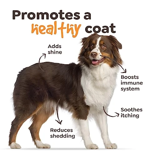 𝐓𝐎𝐏 𝟐𝟎𝟐𝟑* Omega 3 For Dogs - Salmon Oil For Dogs Skin And Coat With Omega 3 Fish Oil, Dog Fish Oil Supplement For Allergy Relief And Itch Relief, 90 Chews Of Dogs Omega 3 Supplement 6 𝐓𝐎𝐏 𝟐𝟎𝟐𝟑* Omega 3 For Dogs - Salmon Oil For Dogs Skin And Coat With Omega 3 Fish Oil, Dog Fish Oil Supplement For Allergy Relief And Itch Relief, 90 Chews Of Dogs Omega 3 Supplement - Image 4