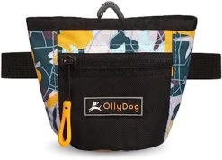 OllyDog Goodie Treat Bag, Dog Treat Pouch, Waist Belt Clip For Hands-Free Training, Magnetic Closure, Dog Training And Behavior Aids, Three Ways To Wear (Cactus) -Dog Supply Store 519lxlxGUOL. AC