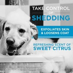 TropiClean Perfect Fur Dog Shampoo For Shedding Control For All Breeds With A Short Double Coat, 16 Ounce -Dog Supply Store 51A3qLW3PmL