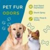 No Scent Anal Gland Express & Skunk Spray Pet Fur Cleaner For Dogs & Cats (128 Fl Oz / 3.8 Liters) 2 No Scent Anal Gland Express & Skunk Spray Pet Fur Cleaner For Dogs & Cats (128 Fl Oz / 3.8 Liters) -Dog Supply Store 51ABLKurHLL