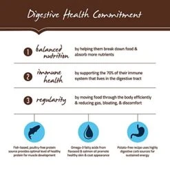 Holistic Select Natural Dry Dog Food, Anchovy & Sardine And Salmon Meal Recipe, 15-Pound Bag, 22121 13 Holistic Select Natural Dry Dog Food, Anchovy & Sardine And Salmon Meal Recipe, 15-Pound Bag, 22121 -Dog Supply Store 51C9CUIuHNL