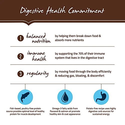 Holistic Select Natural Dry Dog Food, Anchovy & Sardine And Salmon Meal Recipe, 15-Pound Bag, 22121 5 Holistic Select Natural Dry Dog Food, Anchovy & Sardine And Salmon Meal Recipe, 15-Pound Bag, 22121 - Image 3