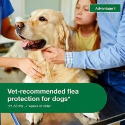 Advantage II Large Dog Vet-Recommended Flea Treatment & Prevention | Dogs 21-55 Lbs. | 4-Month Supply -Dog Supply Store 51CDRjKceKL