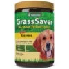 NaturVet GrassSaver| Wafers For Dogs – Help Keep Grass Green, Rid Your Lawn Of Yellow Patches Caused By Dog Urine| No More Yellow Spots| DL-Methionine & Enzymes – 300 Ct -Dog Supply Store 51CUrXHSyIL