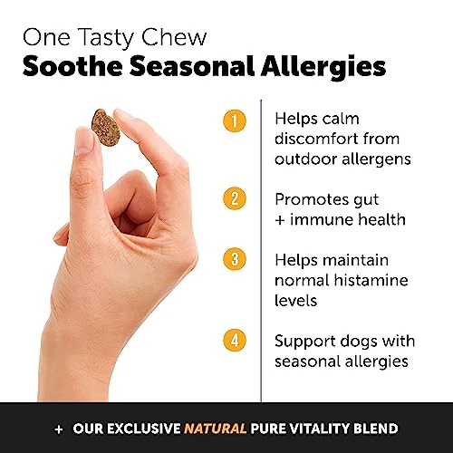 Pet Honesty Dog Allergy Support Immunity Chews – Omega-3 Salmon Fish Oil Supplement, Probiotics For Dogs, Seasonal Allergies, Skin + Coat Health, Intermittent Itchiness - Peanut Butter (90 Count) 3 Pet Honesty Dog Allergy Support Immunity Chews – Omega-3 Salmon Fish Oil Supplement, Probiotics For Dogs, Seasonal Allergies, Skin + Coat Health, Intermittent Itchiness - Peanut Butter (90 Count)