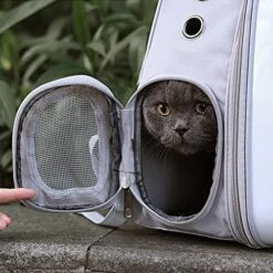 JOZZY Pet Travel Bag Large Bubble Cat Backpack Outdoor Travel Bag Astronaut Backpack Carrier For Kitten Dog Pet Supplies Cat Accessories Travel Bags (Color : Gray) -Dog Supply Store 51DcLbVBJ4L