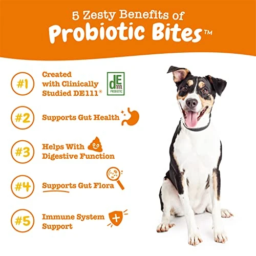 Zesty Paws Probiotics For Dogs - Digestive Enzymes For Gut Flora, Digestive Health, Diarrhea & Bowel Support - Clinically Studied DE111 - Dog Supplement Soft Chew For Pet Immune System - Pumpkin 3 Zesty Paws Probiotics For Dogs - Digestive Enzymes For Gut Flora, Digestive Health, Diarrhea & Bowel Support - Clinically Studied DE111 - Dog Supplement Soft Chew For Pet Immune System - Pumpkin