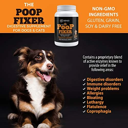 Poop Fixer. Cat & Dog Fiber Supplement Powder For The Perfect Poop! Freeze Dried Pumpkin Powder Dog & Cats Love. Dog Diarrhea Digestive Aid Anti Diarrhea For Dogs. Cat & Dog Stool Hardener. 6 Poop Fixer. Cat & Dog Fiber Supplement Powder For The Perfect Poop! Freeze Dried Pumpkin Powder Dog & Cats Love. Dog Diarrhea Digestive Aid Anti Diarrhea For Dogs. Cat & Dog Stool Hardener. - Image 4