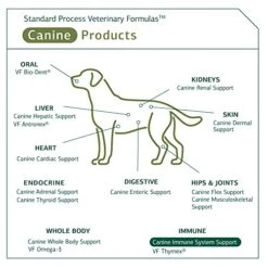 Standard Process - Canine Immune System Support For Dogs - 30 Grams -Dog Supply Store 51GFSpjp5NL