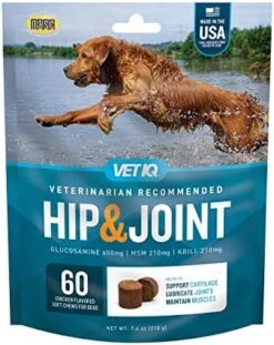 VetIQ Hip & Joint Supplement For Dogs, Anti Inflammatory Joint Support, Glucosamine, MSM, And Krill, Chicken Flavored Soft Chews, 180 Count 18 VetIQ Hip & Joint Supplement For Dogs, Anti Inflammatory Joint Support, Glucosamine, MSM, And Krill, Chicken Flavored Soft Chews, 180 Count -Dog Supply Store 51HD2BrPxtL. AC
