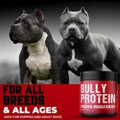 Bully Muscle Builder | | 283gm Dog Protein Powder | 30 Day Supply Of Weight Gainer For Your Bully, Pitbull, Frenchies, Or More, 60 Servings -Dog Supply Store 51HgswV3uKL