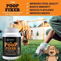Poop Fixer. Cat & Dog Fiber Supplement Powder For The Perfect Poop! Freeze Dried Pumpkin Powder Dog & Cats Love. Dog Diarrhea Digestive Aid Anti Diarrhea For Dogs. Cat & Dog Stool Hardener. 8 Poop Fixer. Cat & Dog Fiber Supplement Powder For The Perfect Poop! Freeze Dried Pumpkin Powder Dog & Cats Love. Dog Diarrhea Digestive Aid Anti Diarrhea For Dogs. Cat & Dog Stool Hardener. -Dog Supply Store 51II8Bh0MAL