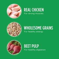 IAMS Adult High Protein Large Breed Dry Dog Food With Real Chicken, 30 Lb. Bag -Dog Supply Store 51IKgQjpTwL