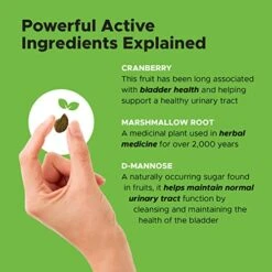 Pet Honesty Cranberry Bladder Health For Dogs – Contains Active Ingredients - Cranberry & D-Mannose To Help Support Dog Urinary Tract Health, Dog Bladder Support, & Kidney Support For Dogs (Bacon) -Dog Supply Store 51IWnCUqnJL