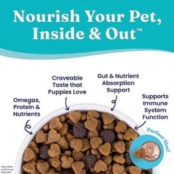 Solid Gold Dry Puppy Food W/Nutrientboost - Made With Real Chicken & Nutritious Superfoods - Love At First Bark Grain Free Puppy Dry Food For Healthy Growth, Energy And Gut Wellness - 3.75 LB Bag -Dog Supply Store 51J6lwDTsxL